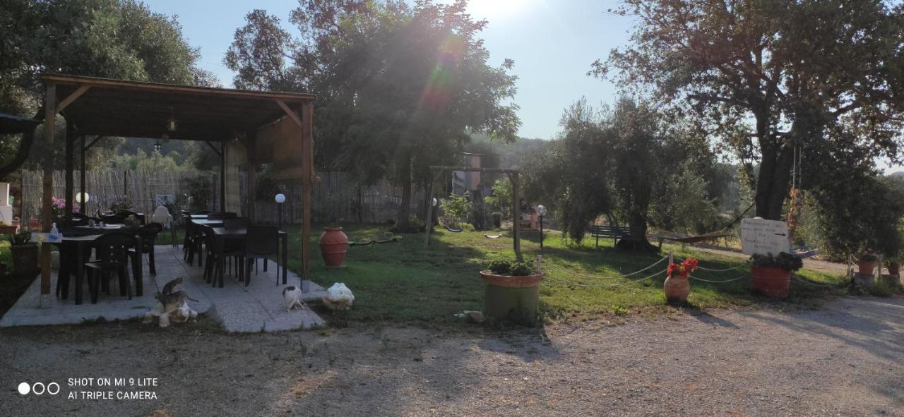 פולוניקה Agriturismo Poggio All'Olivo מראה חיצוני תמונה