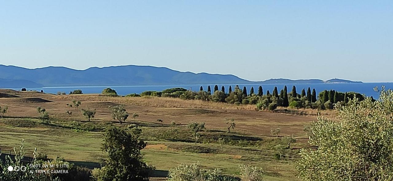 פולוניקה Agriturismo Poggio All'Olivo מראה חיצוני תמונה