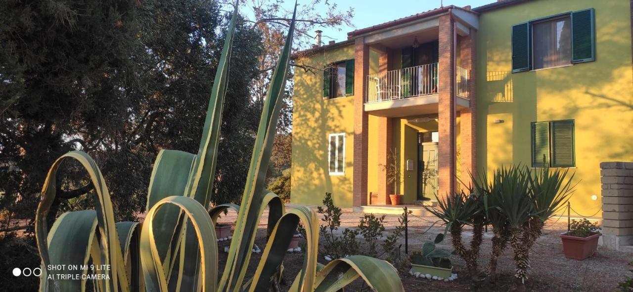 פולוניקה Agriturismo Poggio All'Olivo מראה חיצוני תמונה