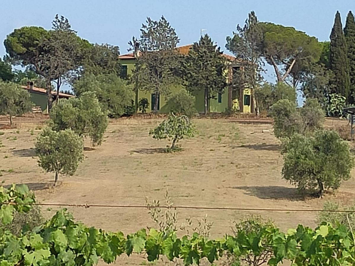 פולוניקה Agriturismo Poggio All'Olivo מראה חיצוני תמונה
