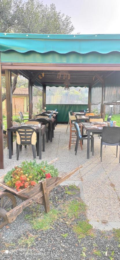 פולוניקה Agriturismo Poggio All'Olivo מראה חיצוני תמונה
