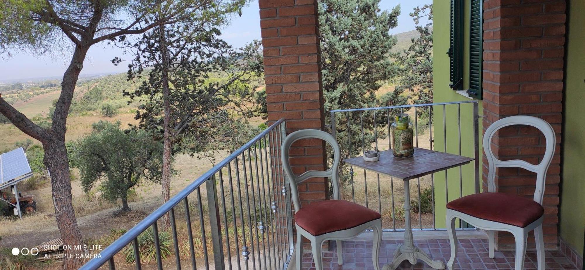 פולוניקה Agriturismo Poggio All'Olivo חדר תמונה