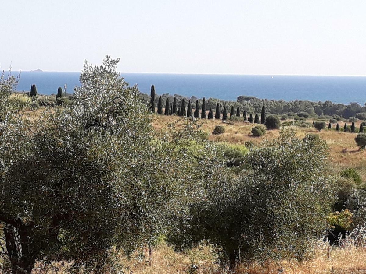 פולוניקה Agriturismo Poggio All'Olivo מראה חיצוני תמונה