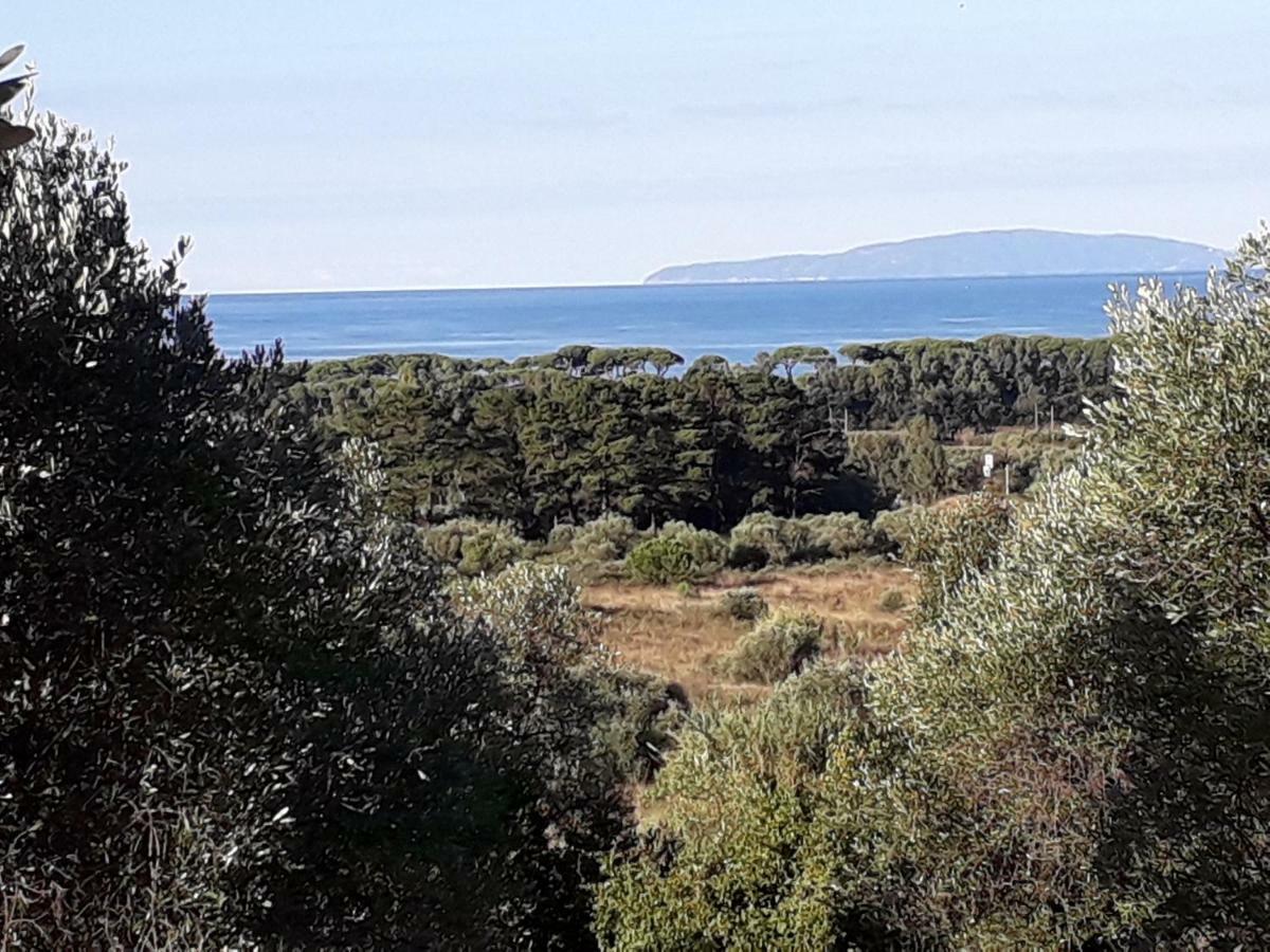 פולוניקה Agriturismo Poggio All'Olivo מראה חיצוני תמונה